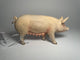 CollectA Pig Sow