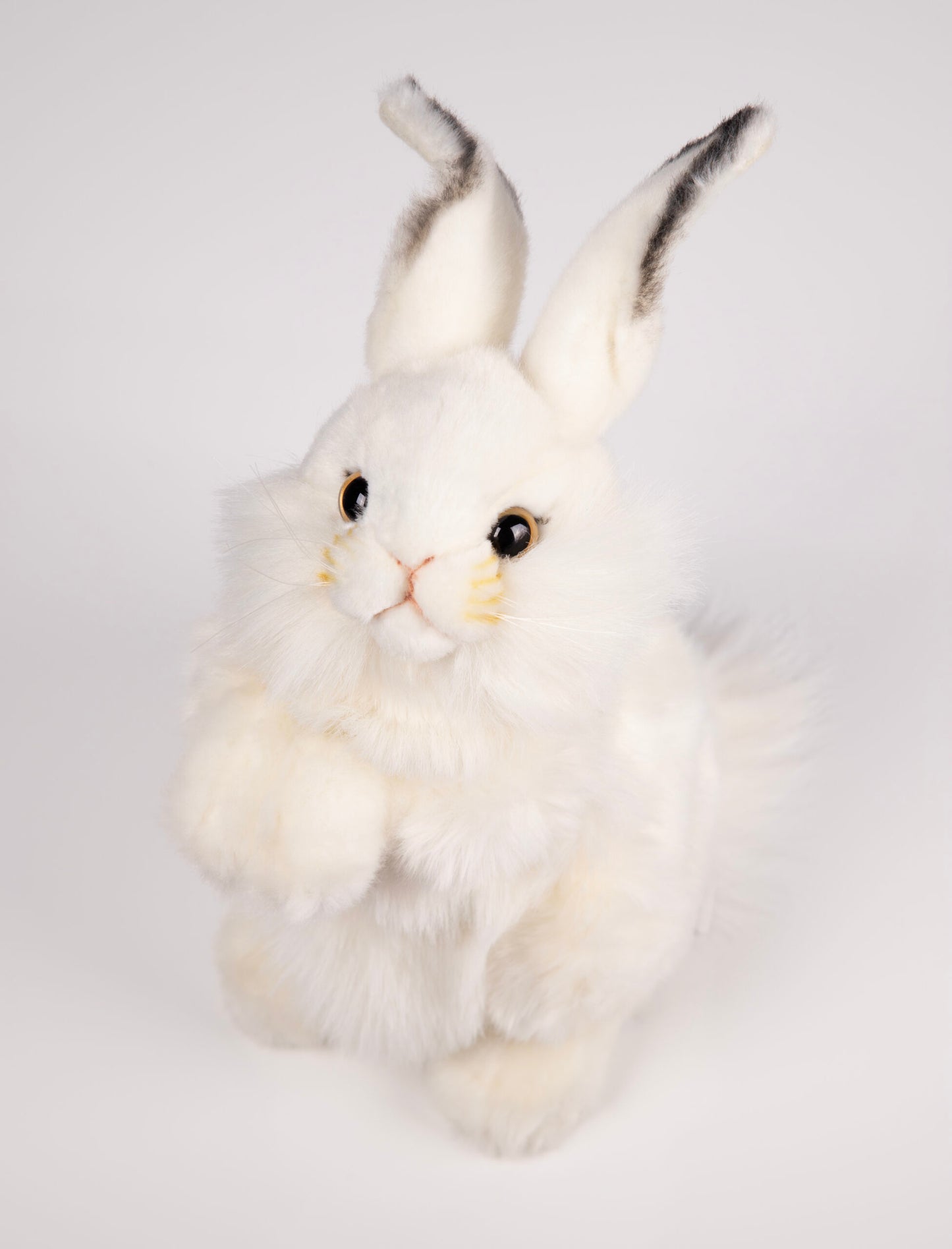 Hvit Kanin Bamse | Hansa Creation