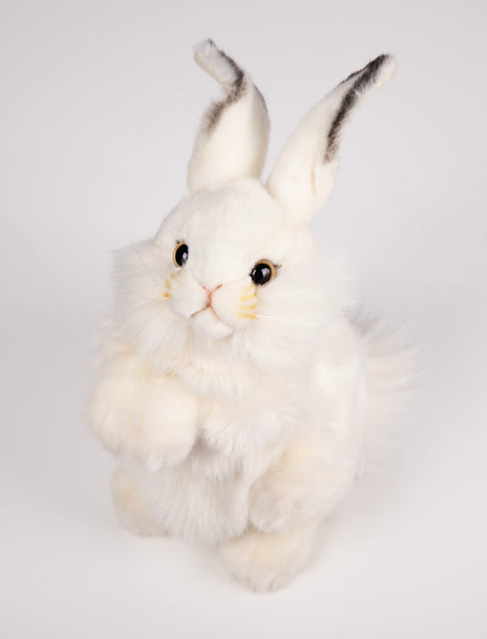 Hvit Kanin Bamse | Hansa Creation