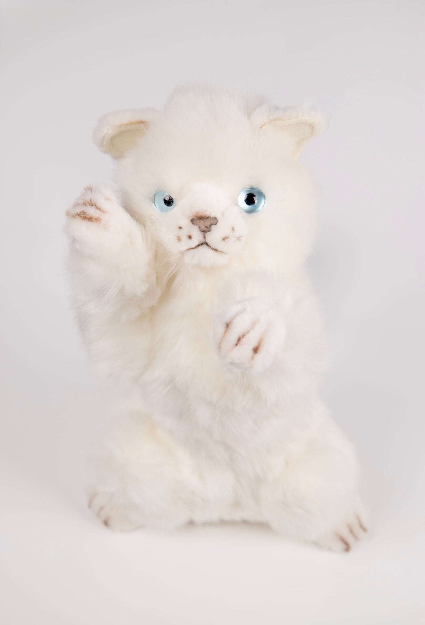 Playful Kitten Katt Kosedyr 26 cm | Hansa Creation