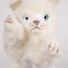 Playful Kitten Katt Kosedyr 26 cm | Hansa Creation - Bamsedyra AS