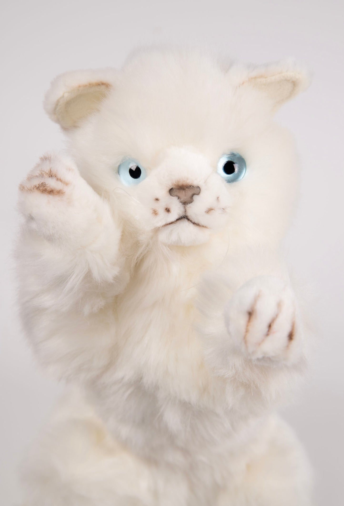 Playful Kitten Katt Kosedyr 26 cm | Hansa Creation