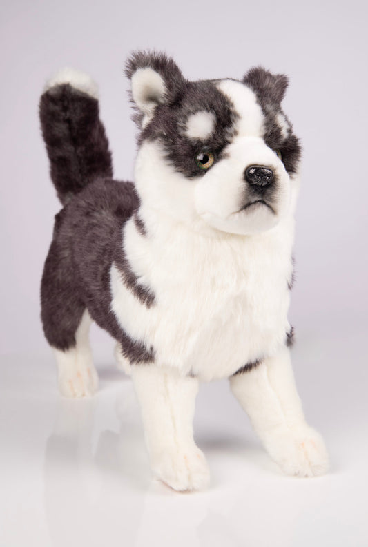 Hansa Creation | Husky Puppy Standing | Grå/Hvit | ca. 43 cm