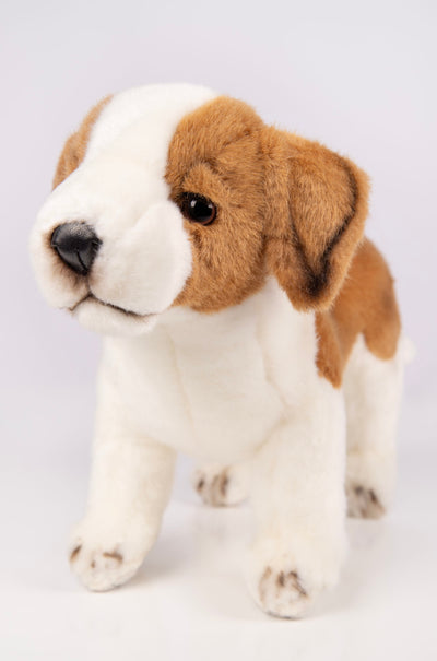 Hansa Creation | St. Bernard Puppy | Brun/Hvit | ca. 30 cm - Bamsedyra AS