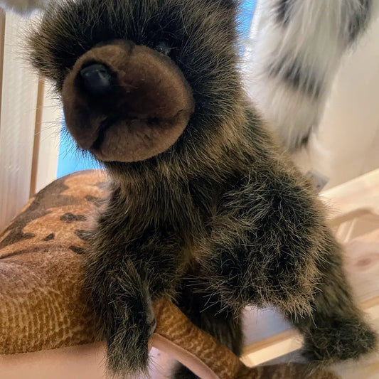 Soft Bear Stuffed Animal