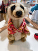 Hansa Creation Meerkat Boy with Clothes Plush Toy - Cute and Playful Stuffed Animal - Bamsedyra