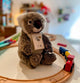 Koala teddy WWF 22cm - Bamsedyra