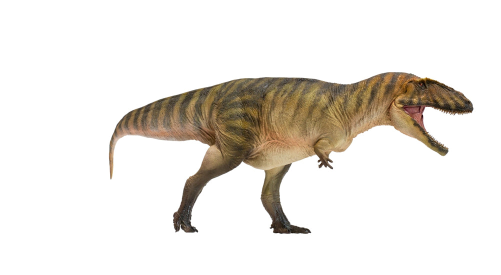 PNSO Gamba the Carcharodontosaurus