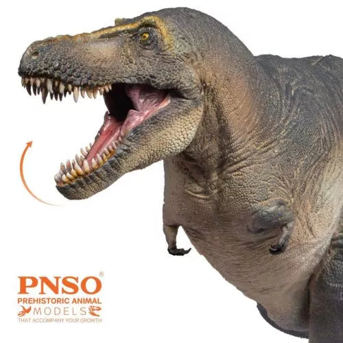 PNSO Chuanzi the Tarbosaurus