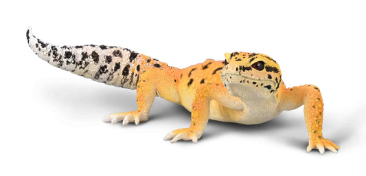 Leopardgecko figur 11 cm – realistisk reptil | CollectA