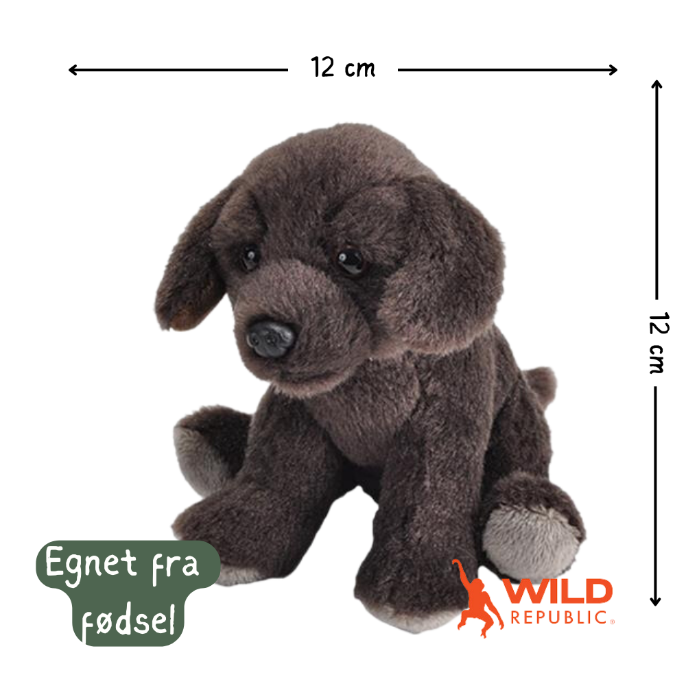 Pocketkins Eco Hund Kosedyr | Wild Republic