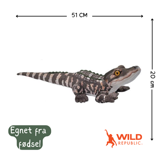 Baby Alligator Kosedyr | Wild Republic