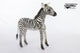 Hansa Creation Zebra Plush Toy - Striking and Lifelike Stuffed Animal - Bamsedyra