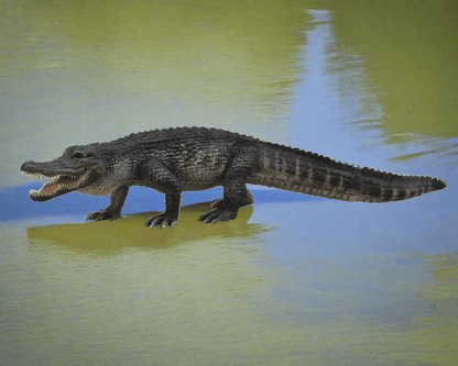 CollectA Alligator Figure (Large) - Realistic and Detailed Replica - Bamsedyra