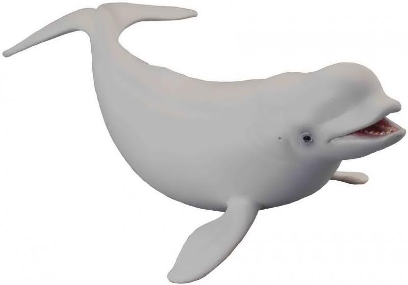 CollectA Beluga Hval Figur – sidevisning av naturtro beluga-hval