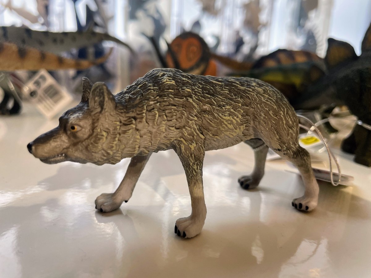 CollectA Grey Wolf Figure - Bamsedyra