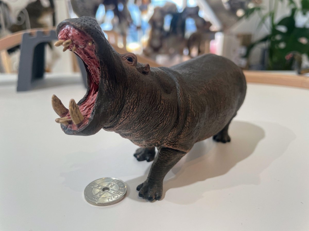 CollectA Hippopotamus - Bamsedyra