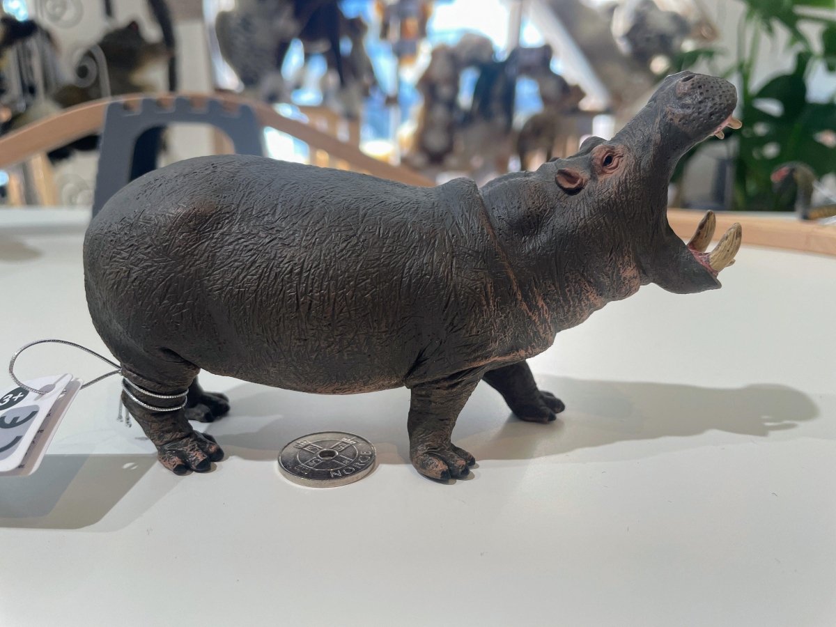 CollectA Hippopotamus - Bamsedyra