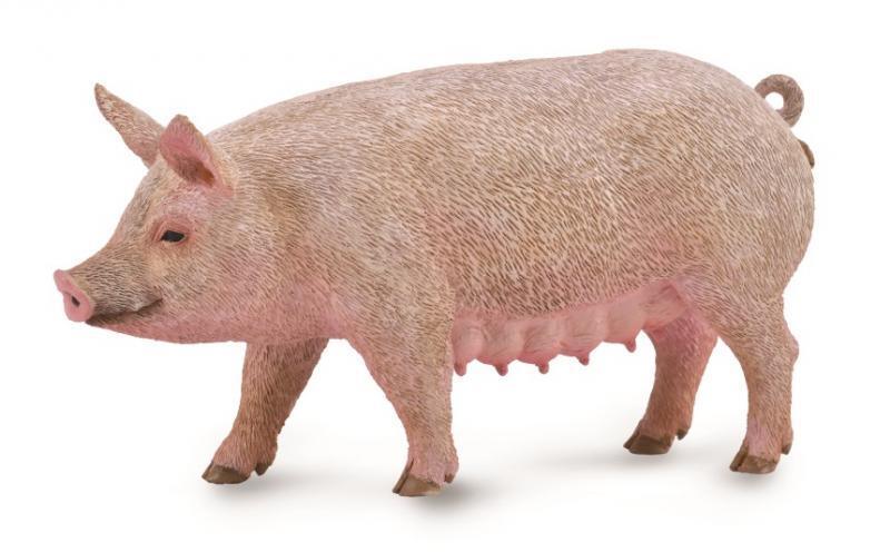 CollectA Pig Sow - Bamsedyra