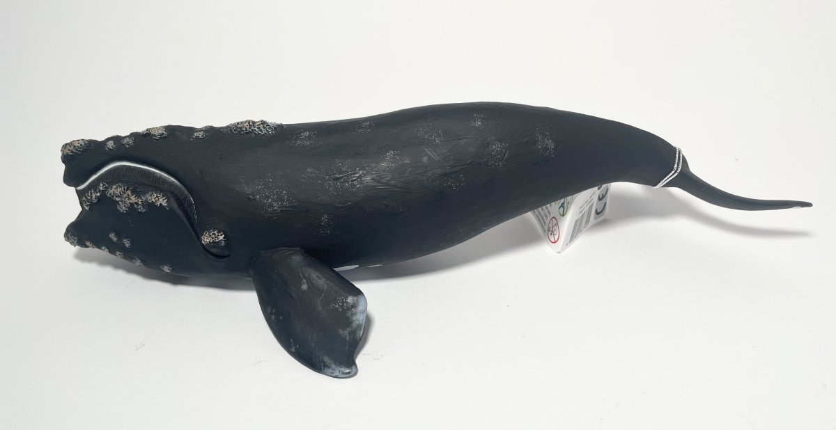 CollectA Right Whale - Bamsedyra