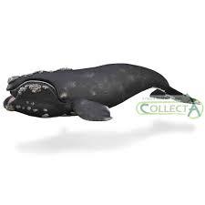 CollectA Right Whale - Bamsedyra