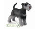 CollectA Schnauzer - Bamsedyra