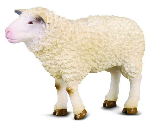 CollectA Sheep - Bamsedyra