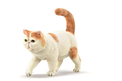 CollectA Shorthaired Cat - Bamsedyra