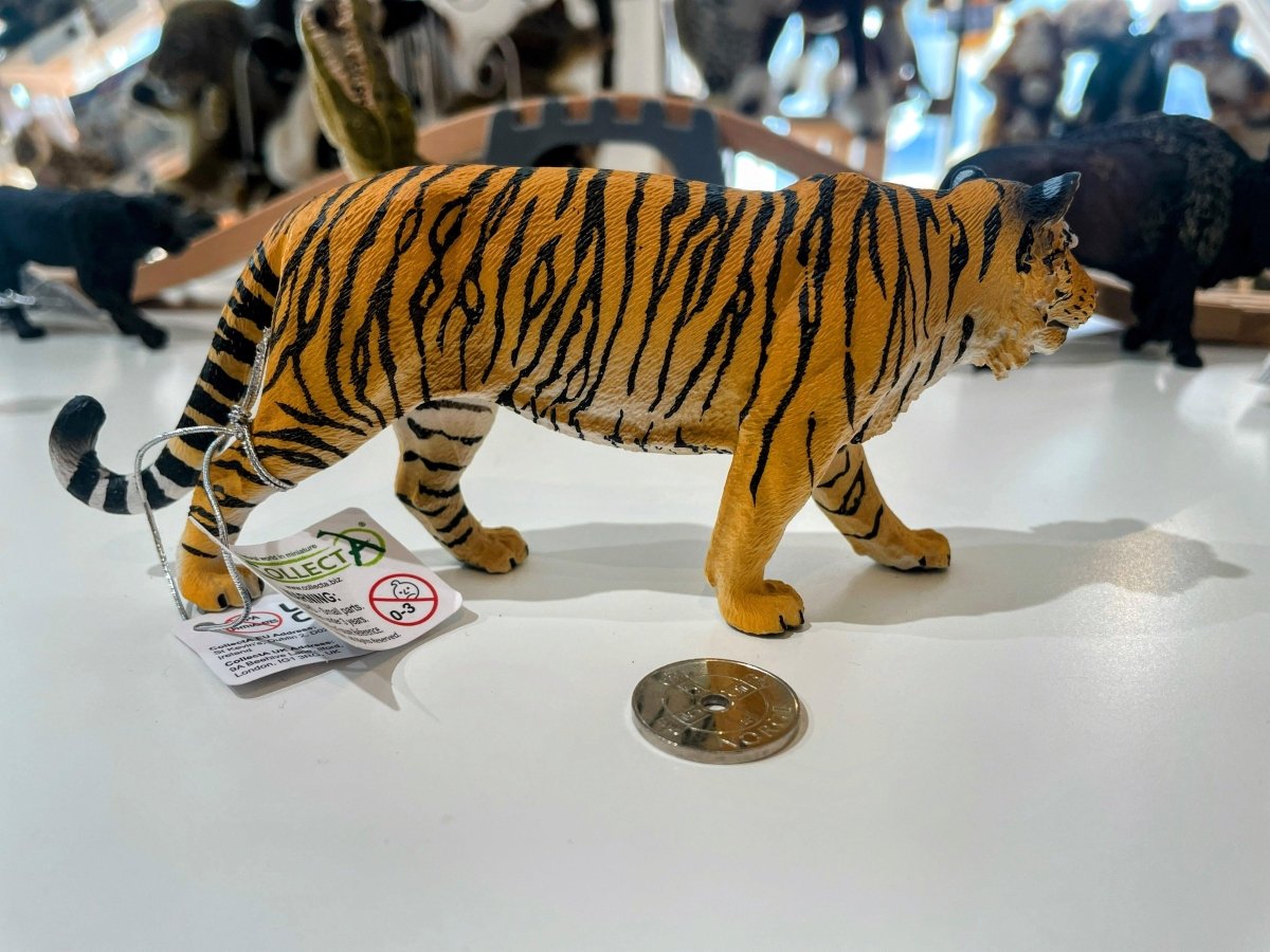 CollectA Tiger Figure (Extra Large) - Majestic and Realistic Wild Cat Replica - Bamsedyra