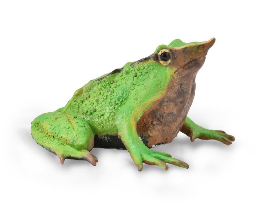 Darwin's Frog CollectA Figure – Explore the Unique World of Amphibians! - Bamsedyra