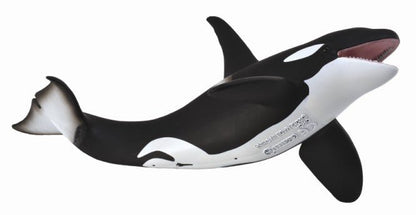 Dive into Adventure with the Majestic Orca: A CollectA Marine Marvel - Bamsedyra