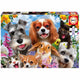 Educa Selfies Puzzle - 200 Pieces - Adorable Pets Collection! - Bamsedyra