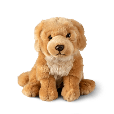 Golden Retriever Plush Toy | Living Nature - Bamsedyra