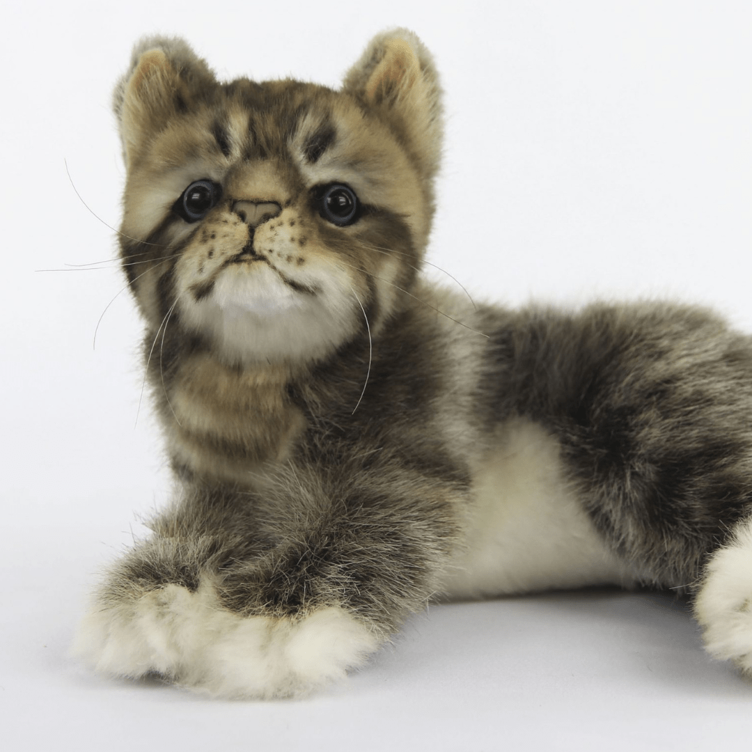 Gray Kitten Plush | Hansa Creation - Bamsedyra