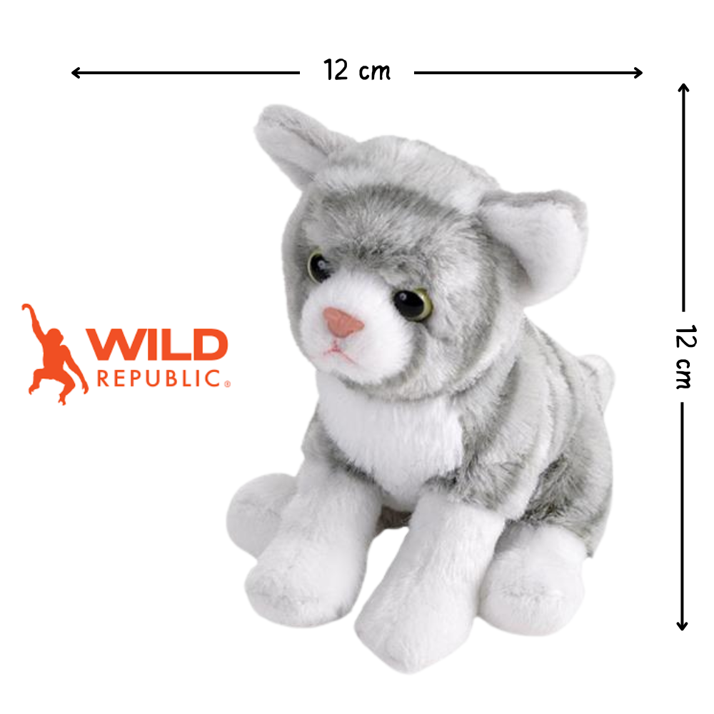 Pocketkins Eco Katt 12cm Kosedyr | Wild Republic