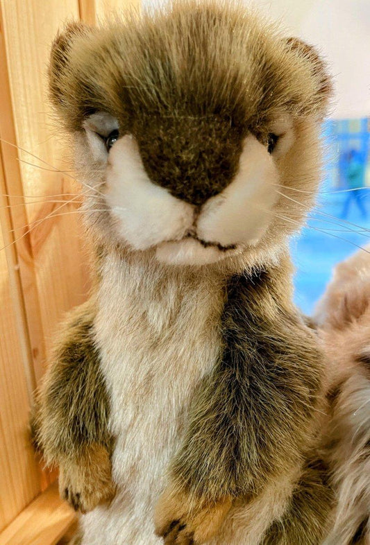 Hansa Creation Ground Squirrel - Bamsedyra AS