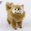 Pomeranian Hund Kosedyr 23 cm | Hansa Creation - Bamsedyra AS