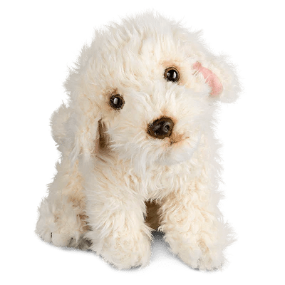 Labradoodle | Living Nature - Bamsedyra