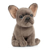 Fransk Bulldog Valp Kosedyr | Living Nature - Bamsedyra AS