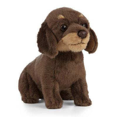 Hund Bamse Dachshund Valp | Living Nature - Bamsedyra AS