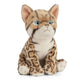 Katt Kosedyr Bengal Kattunge | Living Nature