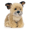 Hund Kosedyr Border Terrier | Living Nature - Bamsedyra AS