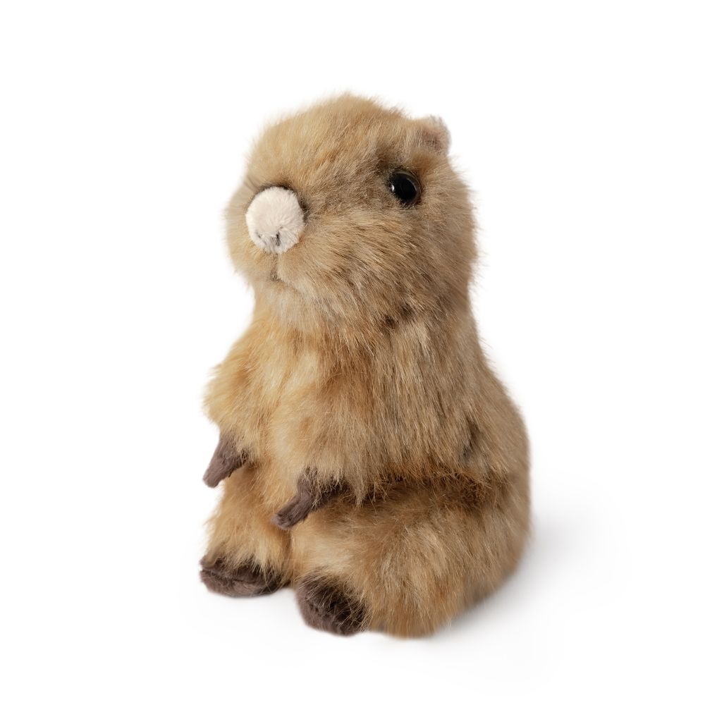 Capybara Baby Bamse