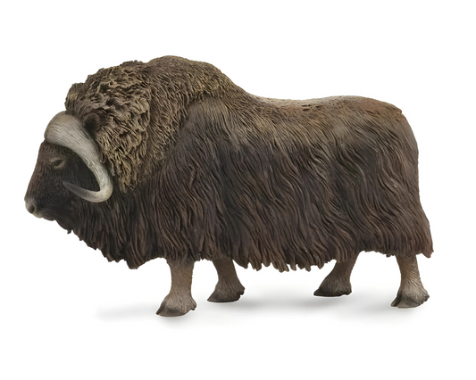 CollectA Musk Ox