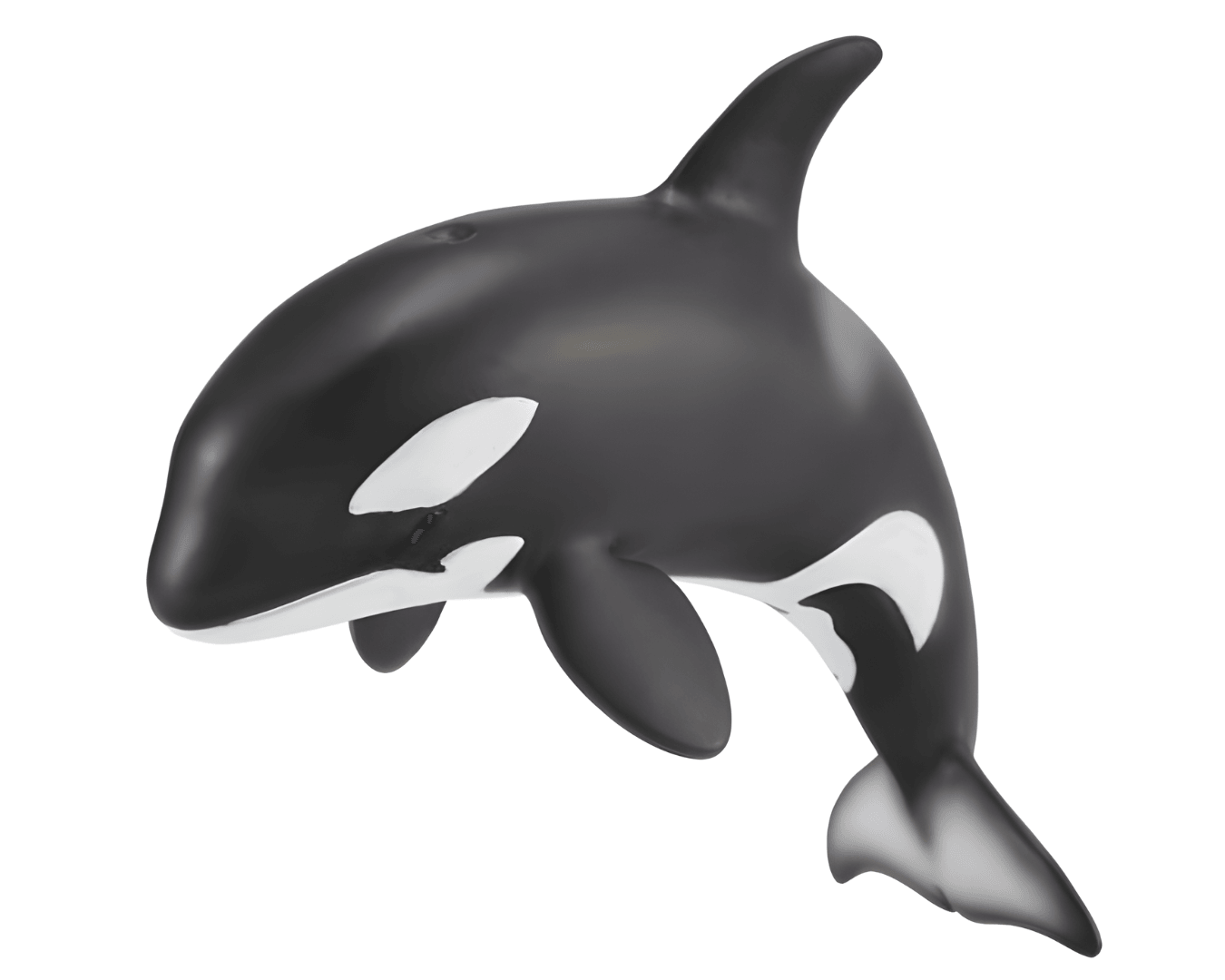 Baby Killer Whale Model