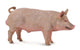 Boar CollectA Figure – Embrace Farmyard Majesty! - Bamsedyra