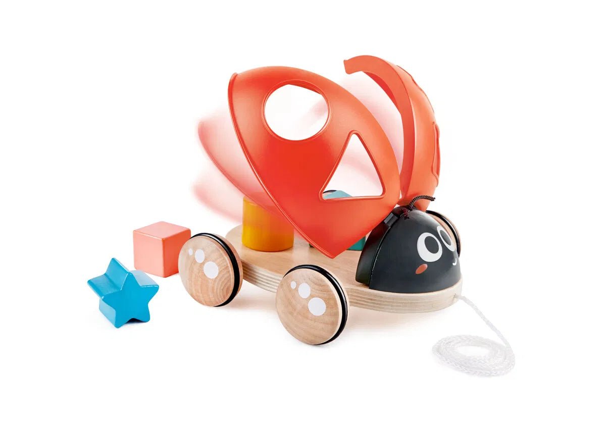 Shape Sorter Ladybug | Hape (Orig. price 299,) - Bamsedyra