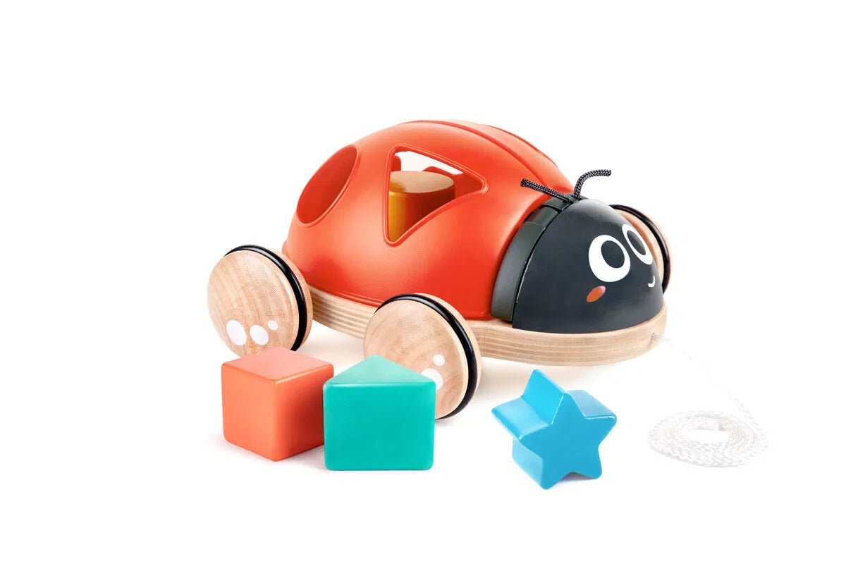 Shape Sorter Ladybug | Hape (Orig. price 299,) - Bamsedyra