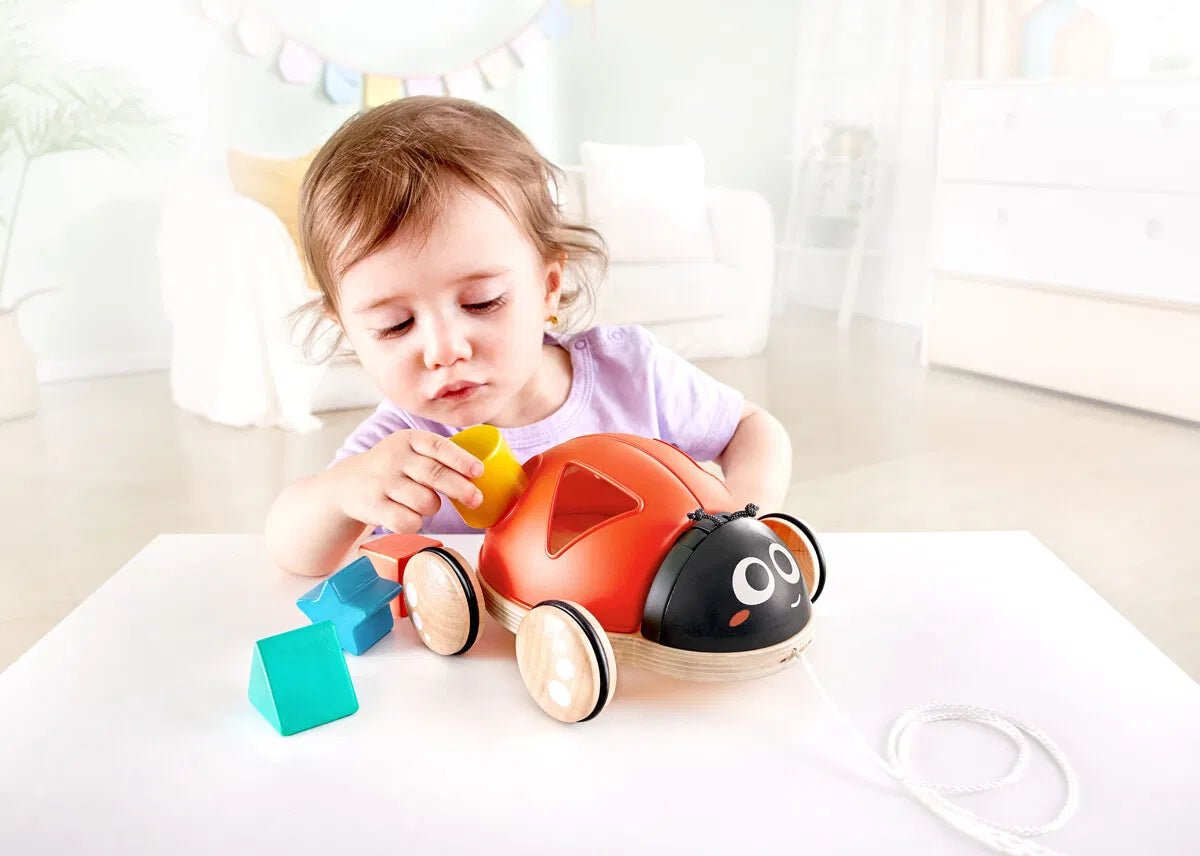 Shape Sorter Ladybug | Hape (Orig. price 299,) - Bamsedyra