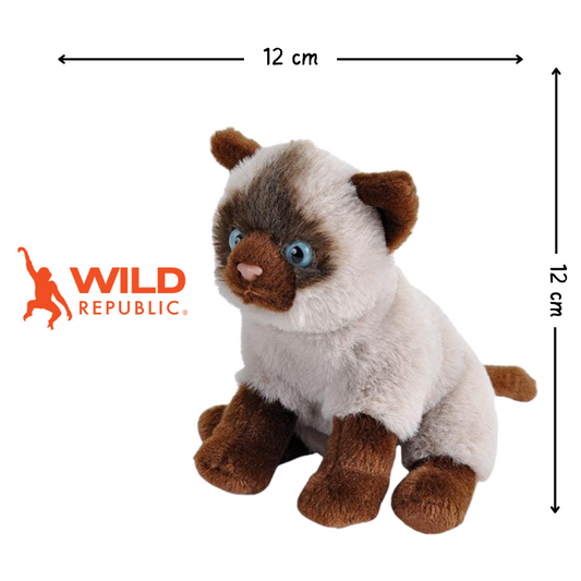 Pocketkins Eco Katt 12cm Kosedyr | Wild Republic